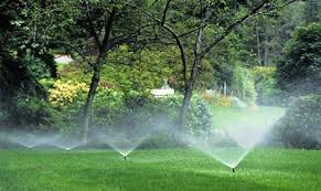 Landscape Irrigation System